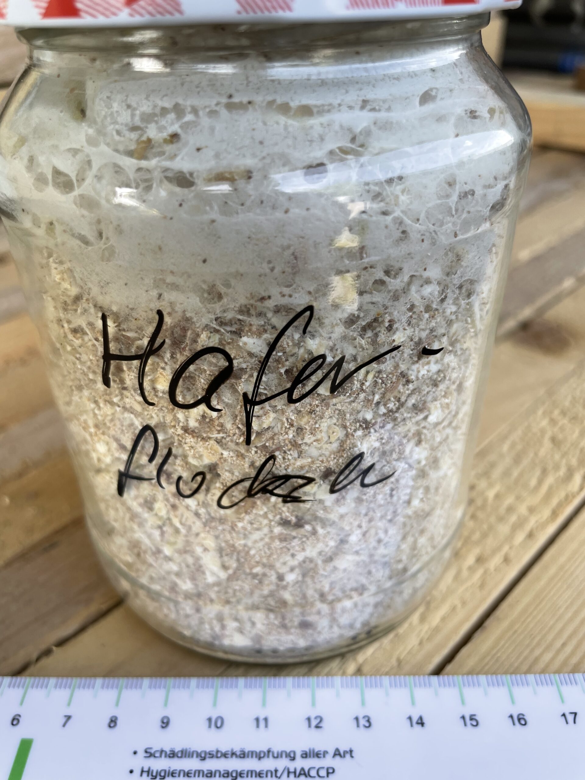 Befallene Haferlocken