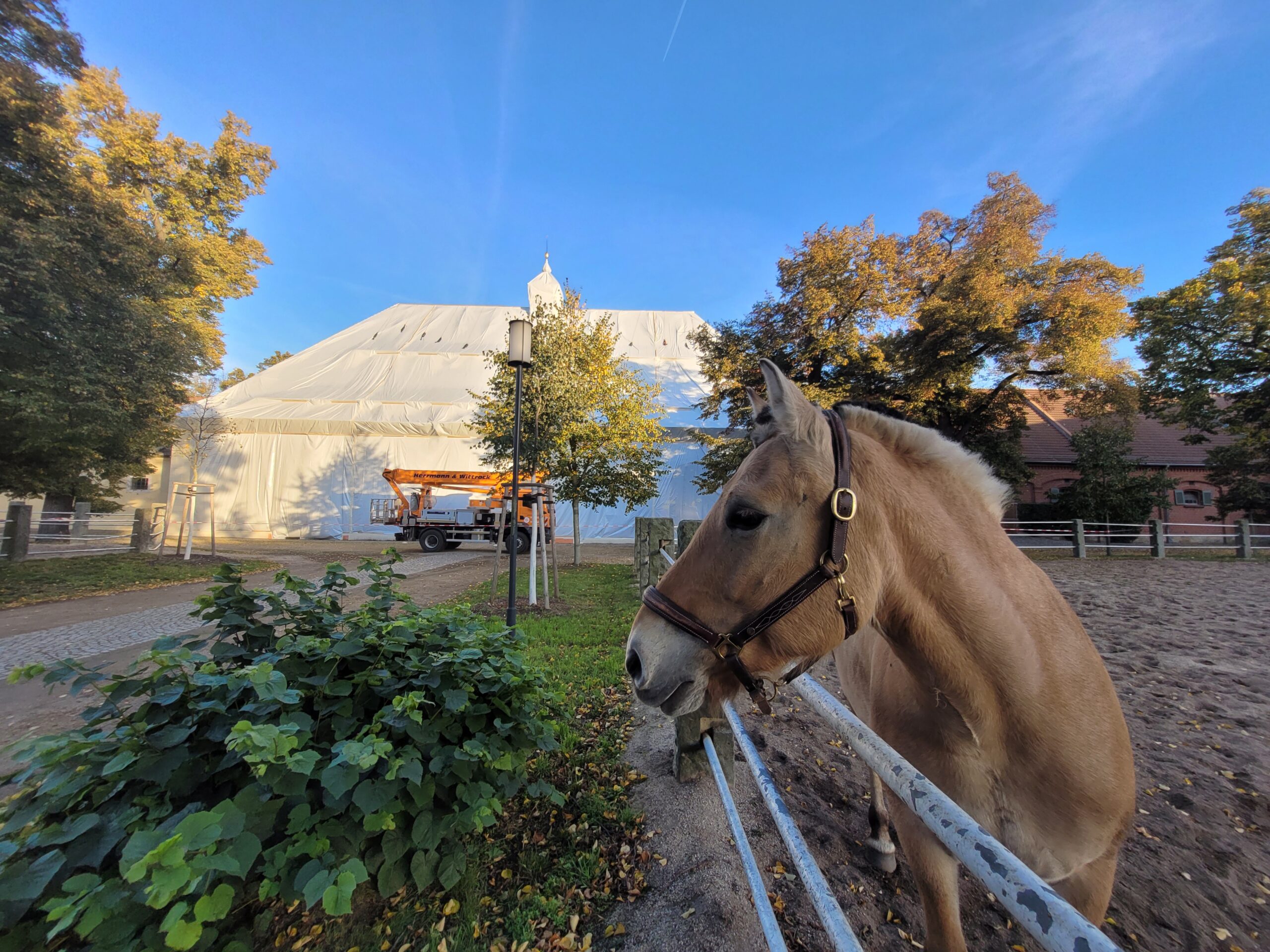 Torhaus Gestüt Graditz mit Pferd