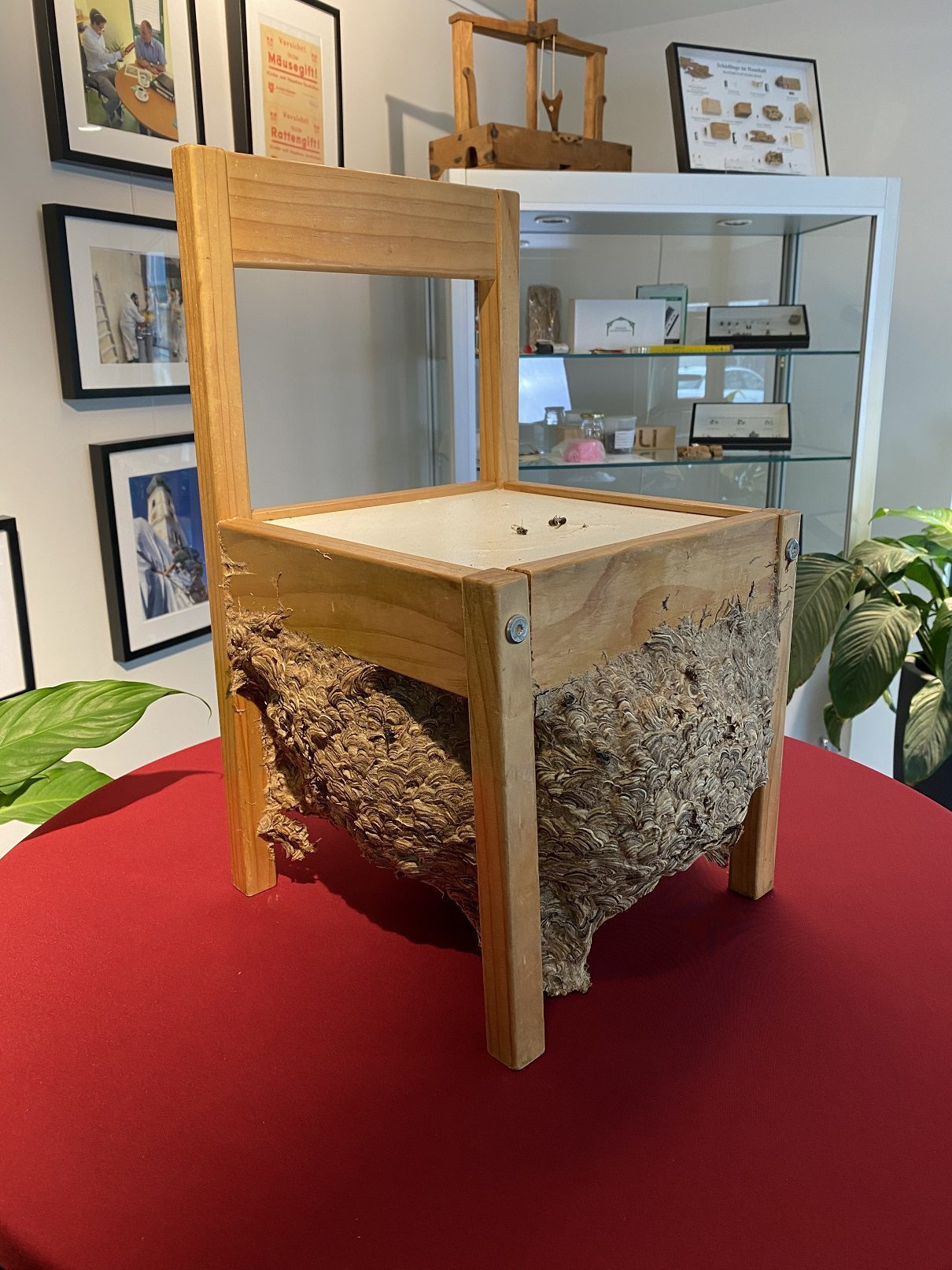Kinderstuhl mit Wespennest